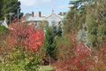 Property photo of 3 Duke Street Avoca VIC 3467