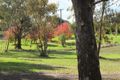 Property photo of 3 Duke Street Avoca VIC 3467