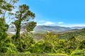 Property photo of 40 Loop Road Lower Beechmont QLD 4211