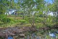 Property photo of 22 Mount Clifton Court Alligator Creek QLD 4816