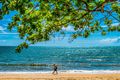 Property photo of 123 Williams Esplanade Palm Cove QLD 4879