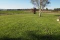 Property photo of 380 Upper Maffra Road Newry VIC 3859