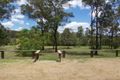 Property photo of 233 Kropp Road Woodford QLD 4514