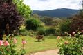 Property photo of 4587 Batlow Road Batlow NSW 2730