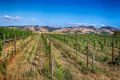Property photo of 9 Barossa Valley Way Tanunda SA 5352