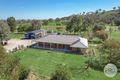 Property photo of 175 Martins Lane Piallamore NSW 2340