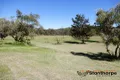 Property photo of 31 Minasi Lane Amiens QLD 4380