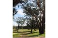 Property photo of 44 Delich Road Carabooda WA 6033