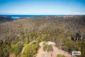 Property photo of 866 Reedy Swamp Road Chinnock NSW 2550