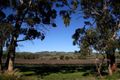 Property photo of LOT 20 Altona Road Lyndoch SA 5351