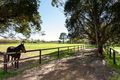 Property photo of 256 Haddrill Road Baskerville WA 6056