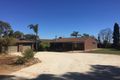 Property photo of 133 Kalbeeba Road Concordia SA 5118