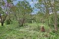 Property photo of 23 Talaskia Road Upper Ferntree Gully VIC 3156