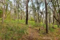 Property photo of 935 Buttermans Track Christmas Hills VIC 3775