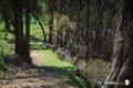 Property photo of 818 Upper Murray Road Towong Upper VIC 3707