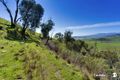 Property photo of 818 Upper Murray Road Towong Upper VIC 3707