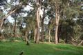 Property photo of 45 Strawberry Hill Drive Gidgegannup WA 6083