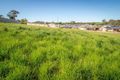 Property photo of 69 Hampden Way Strathalbyn SA 5255
