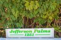 Property photo of 11/1251 Gold Coast Highway Palm Beach QLD 4221