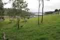 Property photo of 6 Racecourse Rise Eumundi QLD 4562