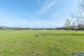 Property photo of 430 Lee Morrison Road Murmungee VIC 3747