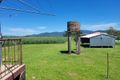Property photo of 88 Hawkins Creek Road Hawkins Creek QLD 4850