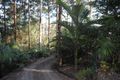 Property photo of 191-195 Wongawallan Road Tamborine Mountain QLD 4272