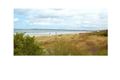 Property photo of 1 Foster Street Aspendale VIC 3195