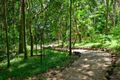 Property photo of 771 Tomewin Mountain Road Currumbin Valley QLD 4223