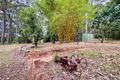 Property photo of 194 Palmtree Road Palmtree QLD 4352