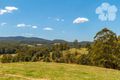 Property photo of 356 Squires Road Wootton NSW 2423