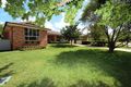 Property photo of 44 Richardson Street Windradyne NSW 2795