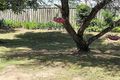 Property photo of 3/22 Glenhorn Close West Mackay QLD 4740