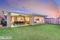 Property photo of 43 Elderflower Circuit Griffin QLD 4503