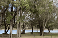 Property photo of 11 Coongarra Esplanade Wurtulla QLD 4575