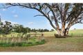 Property photo of 36 Copper Ore Road Stanley SA 5415