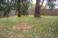 Property photo of 7 Allambi Avenue Capel Sound VIC 3940