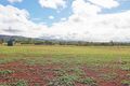Property photo of 55 Wimble Street Tolga QLD 4882