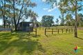 Property photo of 21 Tulipwood Road Cedar Grove QLD 4285