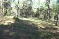 Property photo of 5 Arbortwenty-Six Road Glenwood QLD 4570
