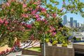 Property photo of 2/20 Thornton Street Darling Point NSW 2027