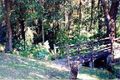 Property photo of 6 Greenview Close Ulladulla NSW 2539