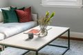 Property photo of 66 Piper Street Lilyfield NSW 2040