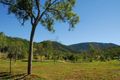 Property photo of 5 Palm Drive Cannonvale QLD 4802