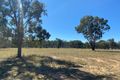 Property photo of 203 Paddys Creek Road Condamine Farms QLD 4357