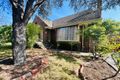 Property photo of 29 Forster Avenue Malvern East VIC 3145