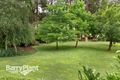 Property photo of 175 Gembrook Road Gembrook VIC 3783