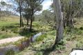 Property photo of 506 Shaws Road Deepwater NSW 2371