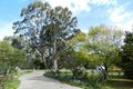 Property photo of 29 Old Orbost Road Swan Reach VIC 3903