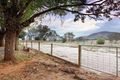 Property photo of 214 Williams Road Table Top NSW 2640